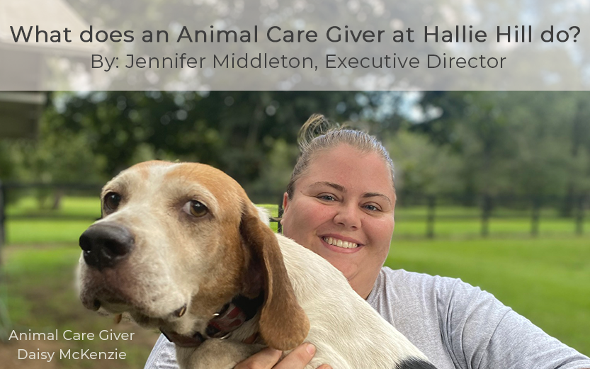 What does an Animal Care Giver at Hallie Hill do?