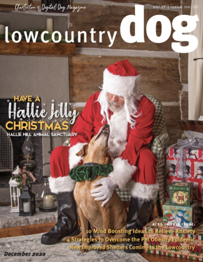 Lowcountry Dog Magazine December 2020 Hallie Hill Animal Sanctuary Hallie Jolly Christmas Cover