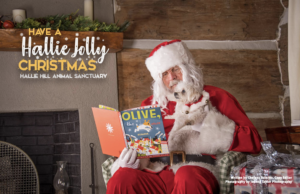 Lowcountry Dog Magazine December 2020 Hallie Hill Animal Sanctuary Hallie Jolly Christmas