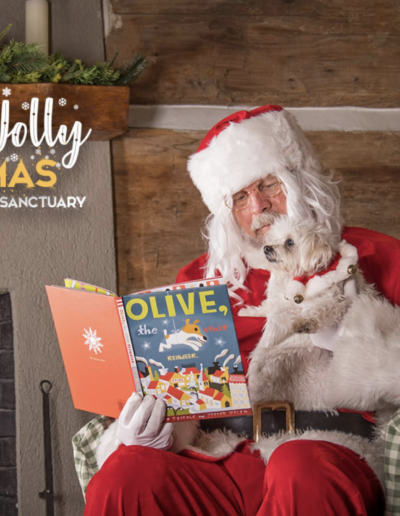 Lowcountry Dog Magazine December 2020 Hallie Hill Animal Sanctuary Hallie Jolly Christmas