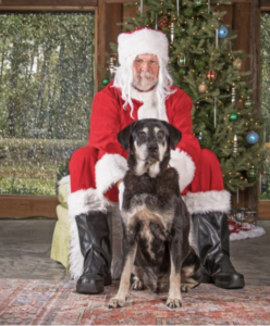 Lowcountry Dog Magazine December 2020 Hallie Hill Animal Sanctuary Hallie Jolly Christmas Dog Ben with Santa