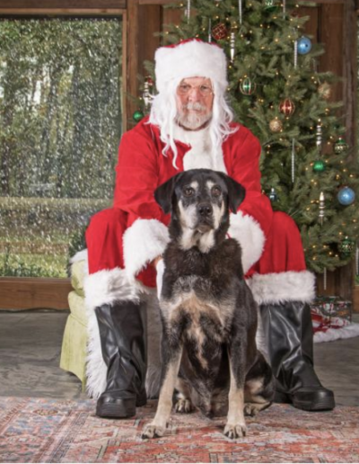 Lowcountry Dog Magazine December 2020 Hallie Hill Animal Sanctuary Hallie Jolly Christmas Dog Ben with Santa