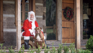 Lowcountry Dog Magazine December 2020 Hallie Hill Animal Sanctuary Hallie Jolly Christmas Dog Jamison with Santa