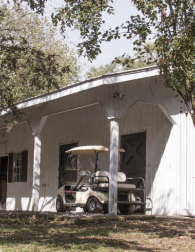 Lowcountry Dog Magazine December 2020 Hallie Hill Animal Sanctuary Hallie Jolly Christmas Barn