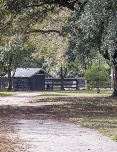 Lowcountry Dog Magazine December 2020 Hallie Hill Animal Sanctuary Hallie Jolly Christmas Dog Enclosures