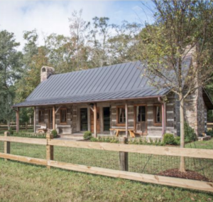 Lowcountry Dog Magazine December 2020 Hallie Hill Animal Sanctuary Hallie Jolly Christmas Cabin