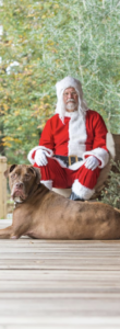 Lowcountry Dog Magazine December 2020 Hallie Hill Animal Sanctuary Hallie Jolly Christmas Dog Jamison with Santa