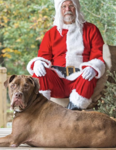 Lowcountry Dog Magazine December 2020 Hallie Hill Animal Sanctuary Hallie Jolly Christmas Dog Jamison with Santa