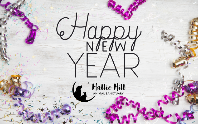 Happy New Year 2021 Hallie Hill Animal Sanctuary