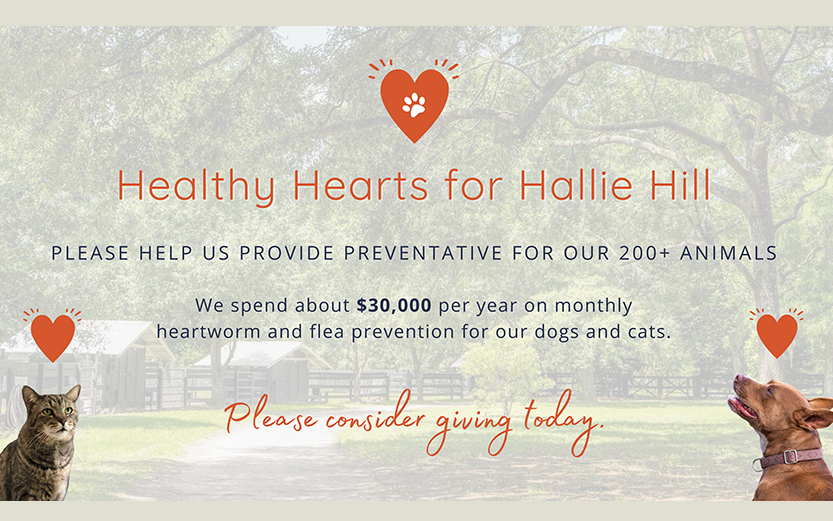 Healthy Hearts for Hallie Hill