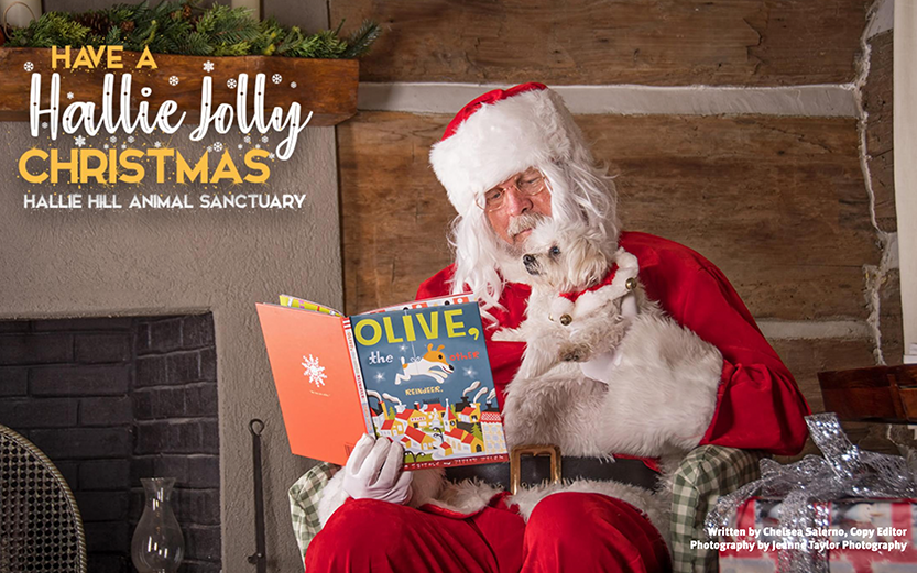 Hallie Jolly Christmas Lowcountry Dog Magazine December 2020