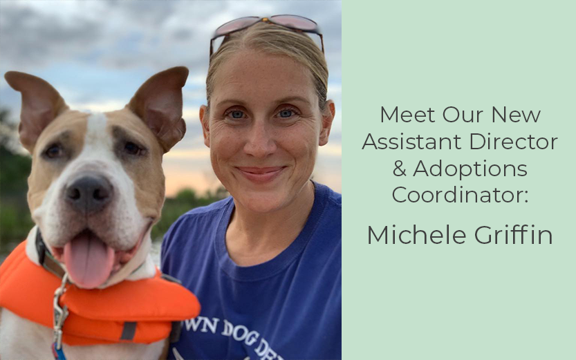 Meet Our New Assistant Director & Adoptions Coordinator: Michele Griffin