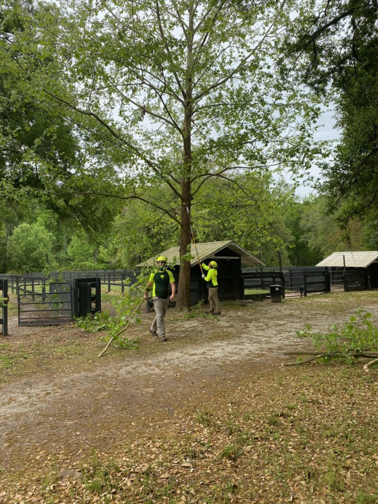 Bartlett Tree Experts at Hallie Hill Animal Sanctuary