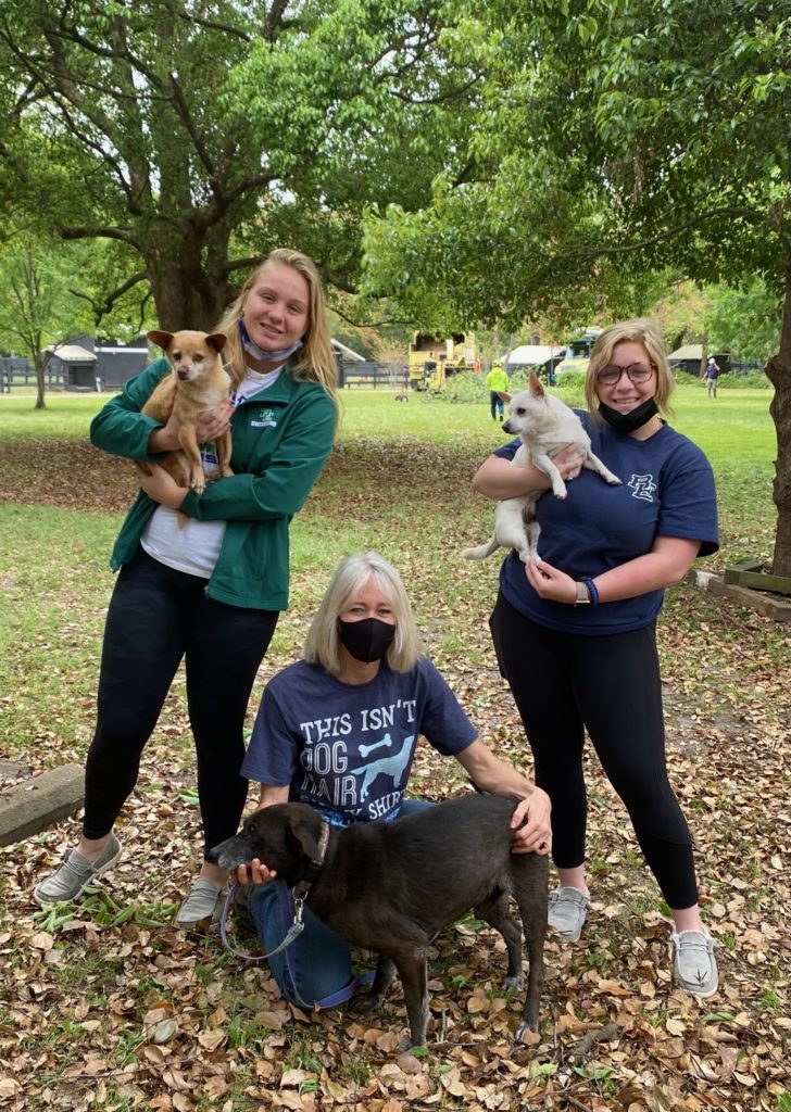 Bishop England High Schoolers at Hallie Hill Animal Sanctuary