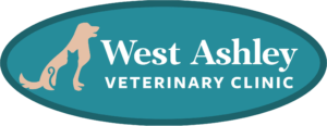 West Ashley Veterinary Clinic