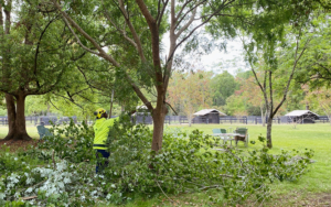 Bartlett Tree Experts at Hallie Hill Animal Sanctuary