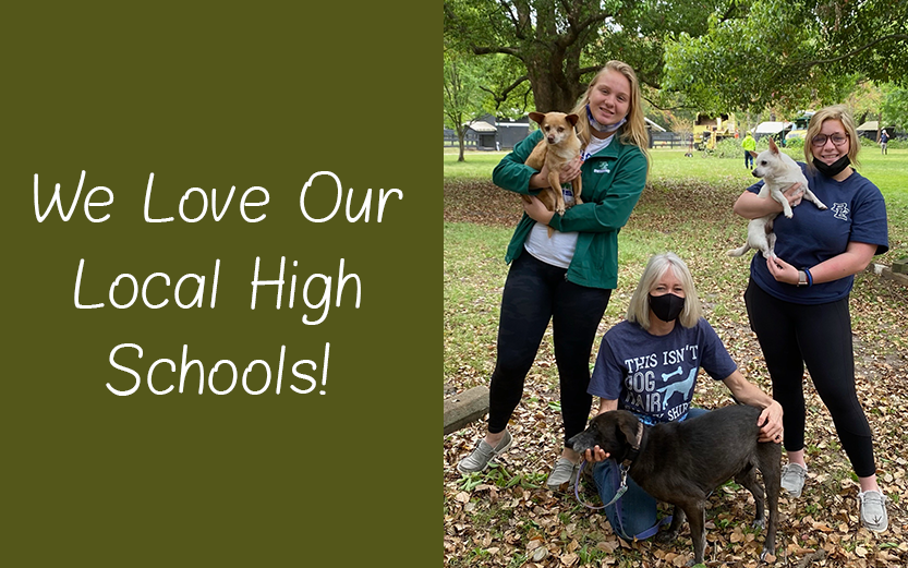 We Love Our Local High Schools!