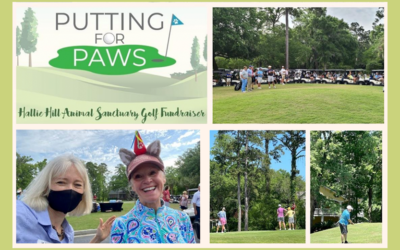 Putting for Paws 2021 Was a Great Success!