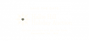 Hallie Hill Holiday Auction
