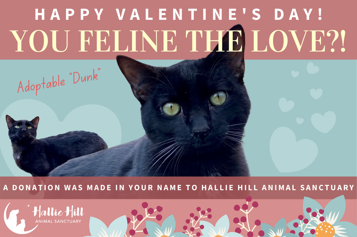 Valentines e-cards | Hallie Hill Animal Sanctuary Valentines e-cards | Hallie Hill Animal Sanctuary