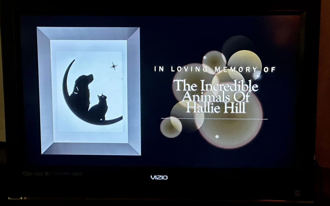 Thank You For Coming to Our Angel’s Crossing Candlelight Vigil