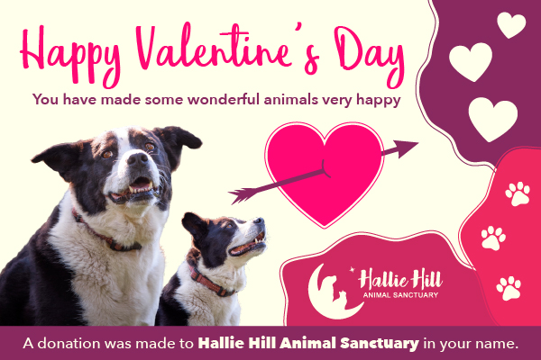 Valentines e-cards | Hallie Hill Animal Sanctuary