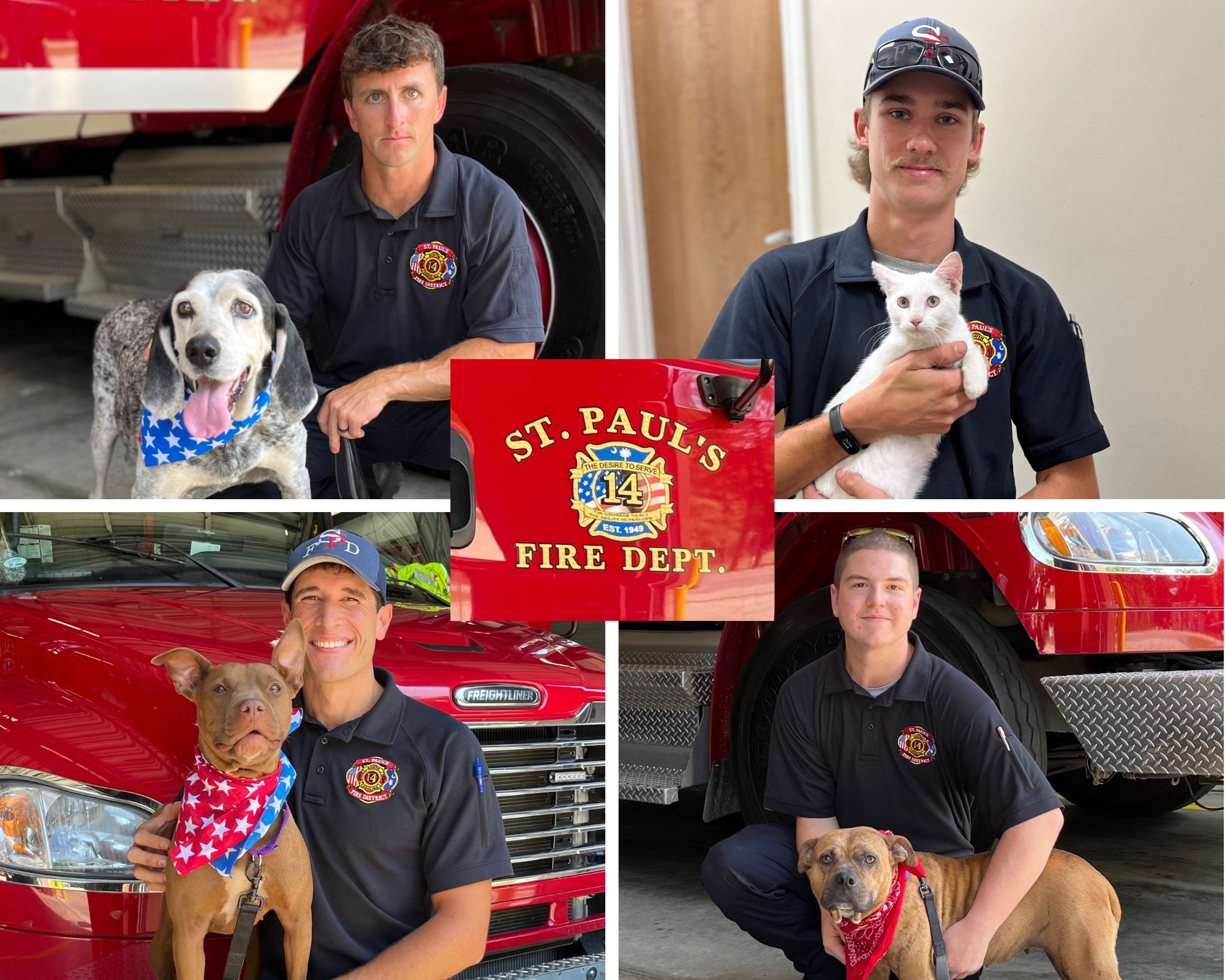 firedog (1) Dr Nicole Constantine Hallie Hill Animal Sanctuary Laps for Love