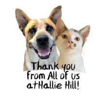 How Can You Help Hallie Hill?