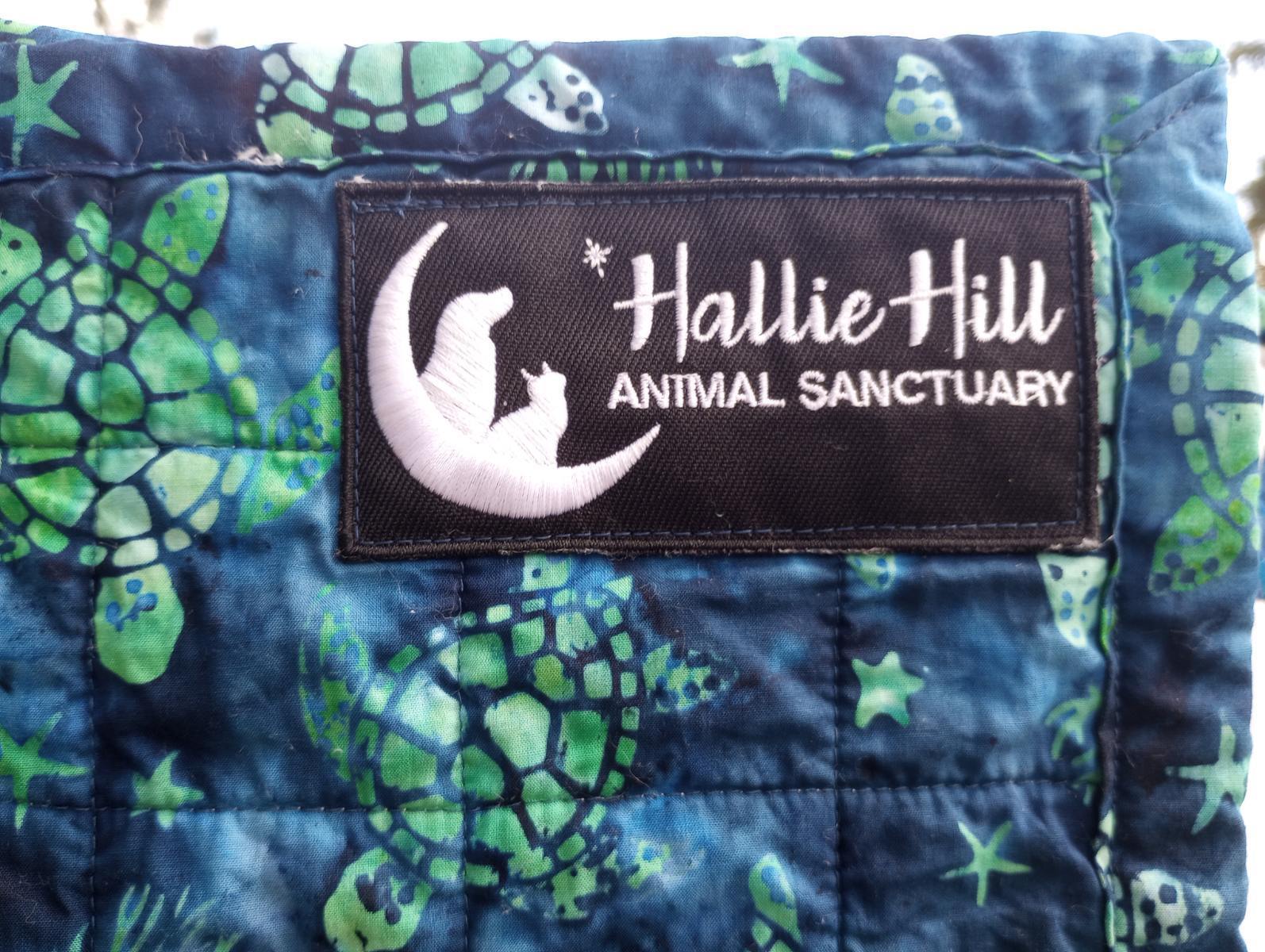 hallie hill logo