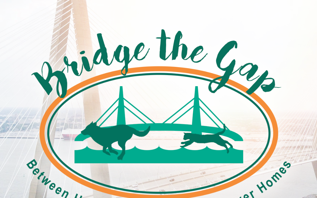 Support Our Bridge the Gap Fundraiser