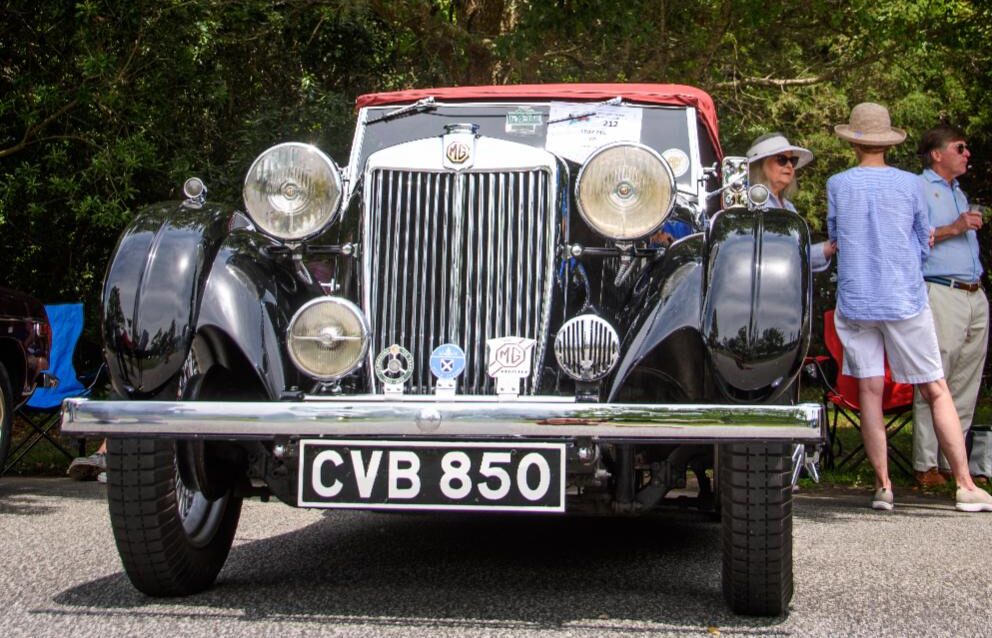 Hallie Hill Animal Sanctuary