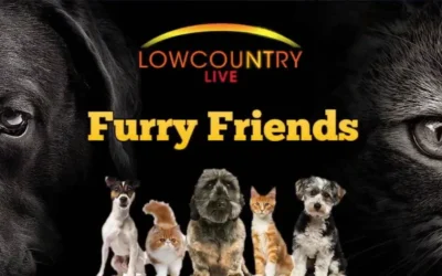Behind the Scenes at LowCountry Live