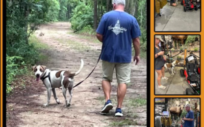Clayton and Mosey Mae on a Dog Daycation