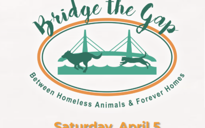 Help us “Bridge The Gap” at this year’s Cooper River Bridge Run