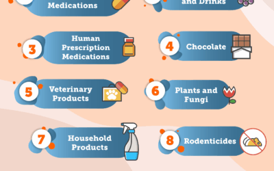National Poison Prevention Week