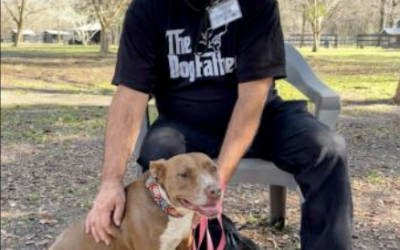 Volunteer Corner: Christopher Bernique
