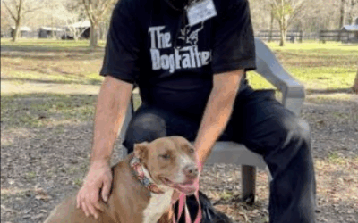 Volunteer Corner: Christopher Bernique