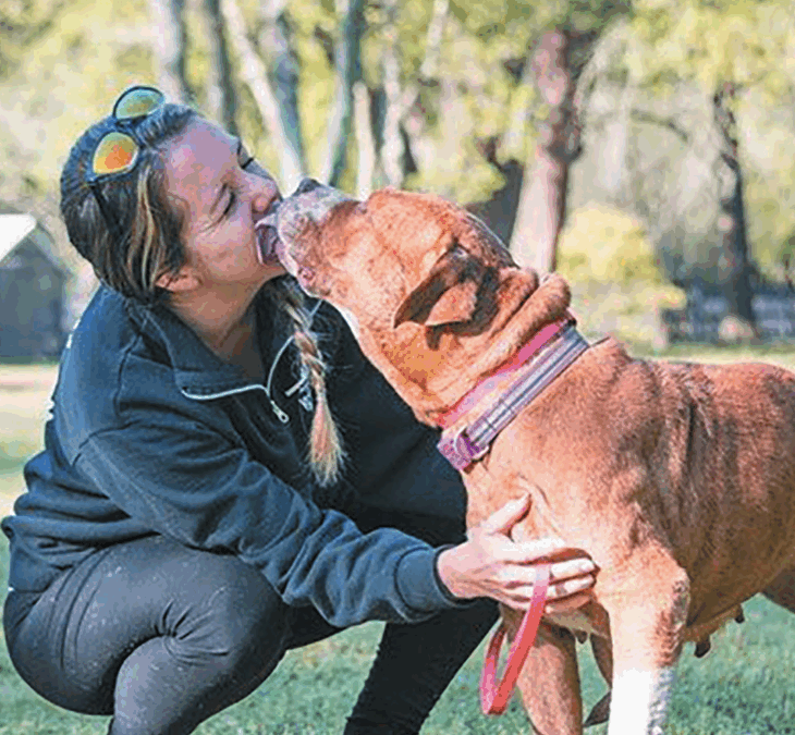 May’s Adorable Adoptables