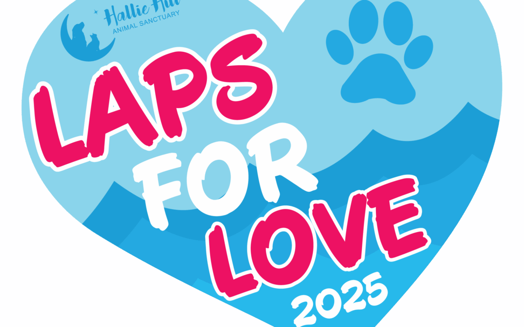 Laps for Love is Back on August 2nd