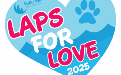 Laps for Love is Back on August 2nd