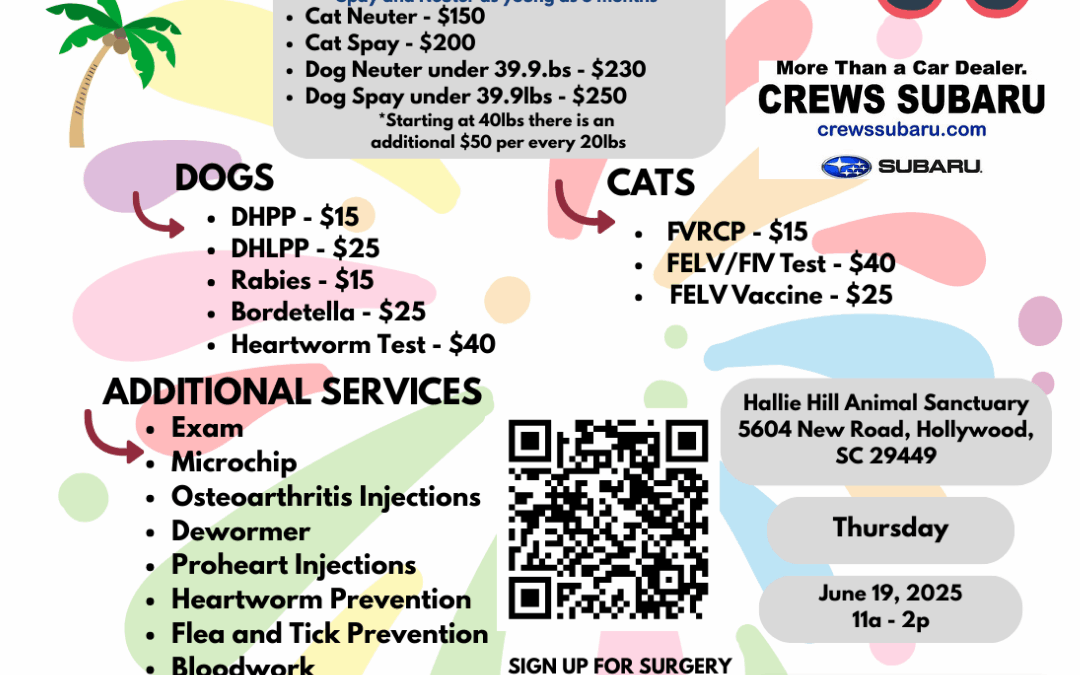 PETSinc Affordable Mobile Veterinary Unit