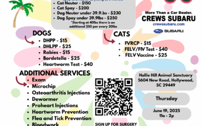 PETSinc Affordable Mobile Veterinary Unit