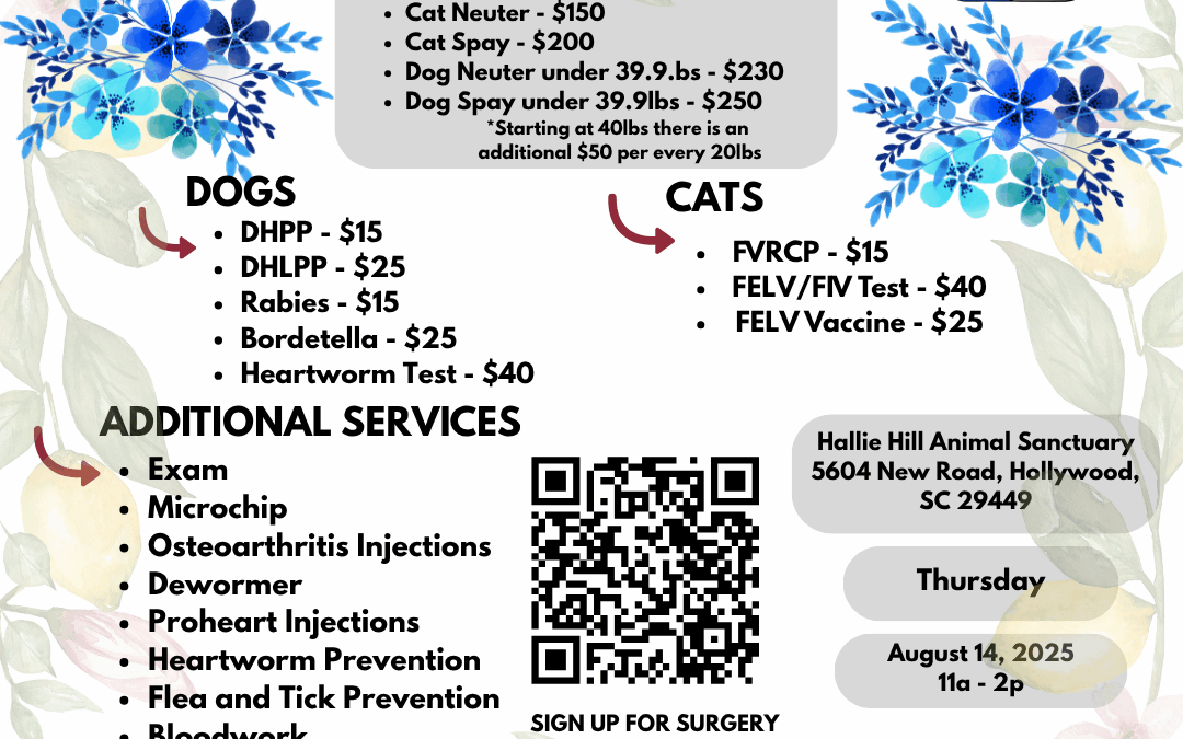 Hallie Hill and PetSinc offer an Affordable Mobile Vet Clinic on Thursday, August 14