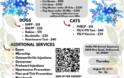 Hallie Hill and PetSinc offer an Affordable Mobile Vet Clinic on Thursday, August 14