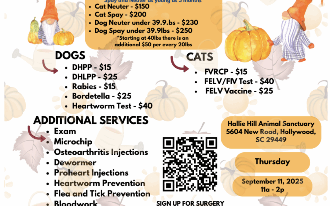 Affordable Mobile Vet Clinic Returns to Hallie Hill: Thursday, September 11!