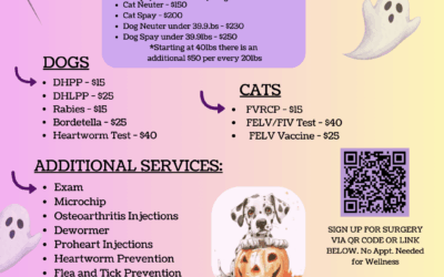 Hallie Hill and PETSinc Offer an Affordable Mobile Vet Clinic on Thursday, October 16