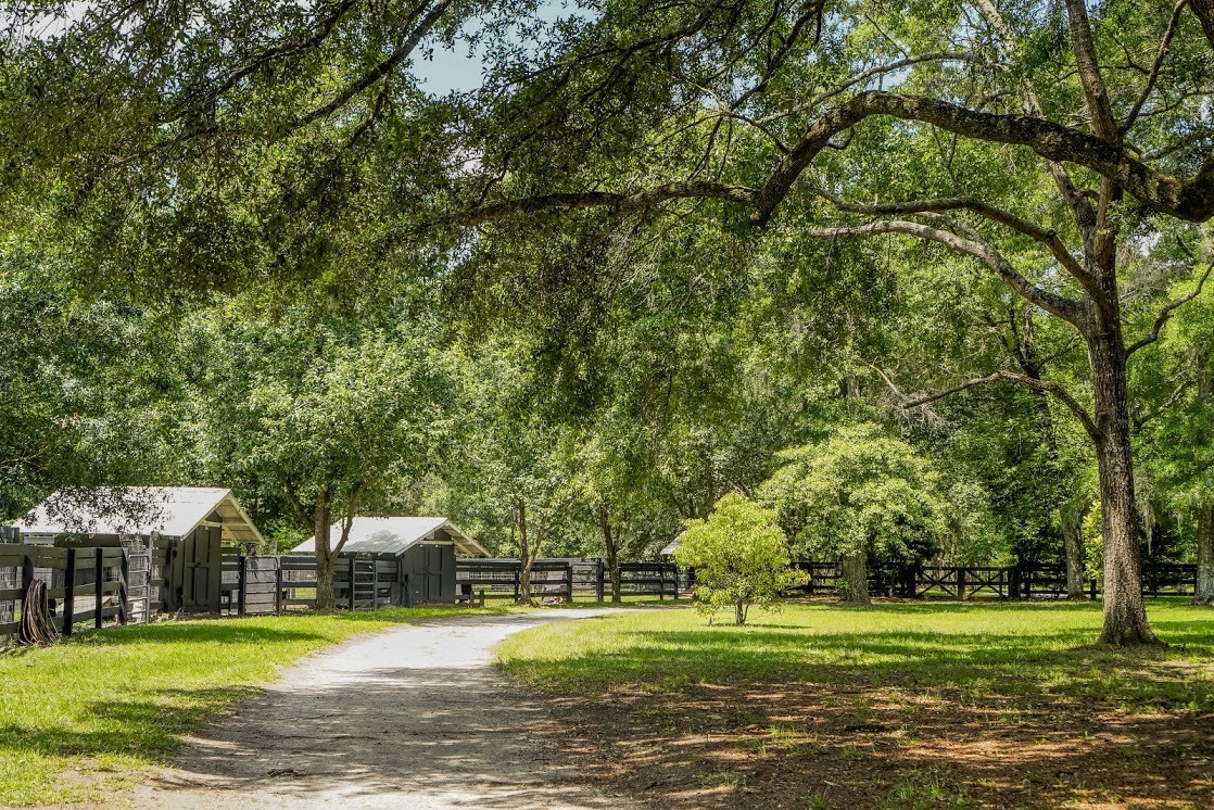 Hallie Hill Animal Sanctuary