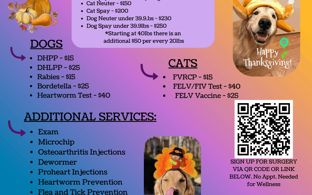Hallie Hill and PETSinc Offer an Affordable Mobile Vet Clinic on Thursday, November 20