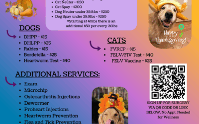 Hallie Hill and PETSinc Offer an Affordable Mobile Vet Clinic on Thursday, November 20