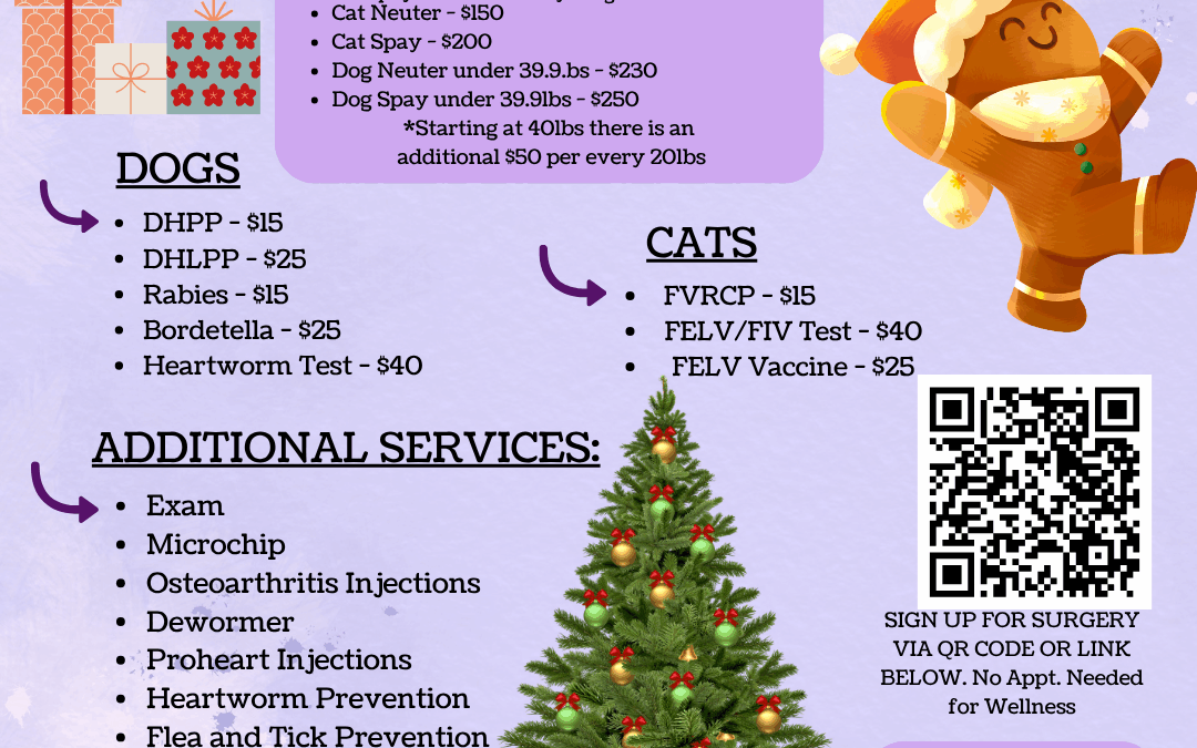 Hallie Hill and PETSinc Offer an Affordable Mobile Vet Clinic on Thursday, December 18